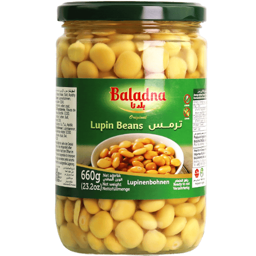 ترمس بلدنا 660غ